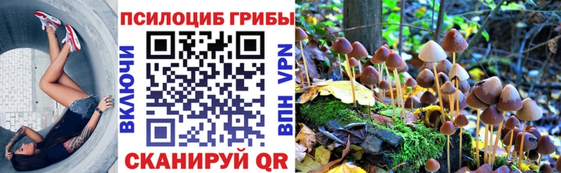 MEGA   Тогучин  Псилоцибиновые грибы Psilocybine cubensis  купить  цена 